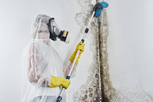 Best Water damage restoration process  in Abilene, TX